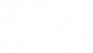 FleckaWIRT Logo